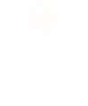 logo_vex_branca